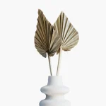 product-category-5